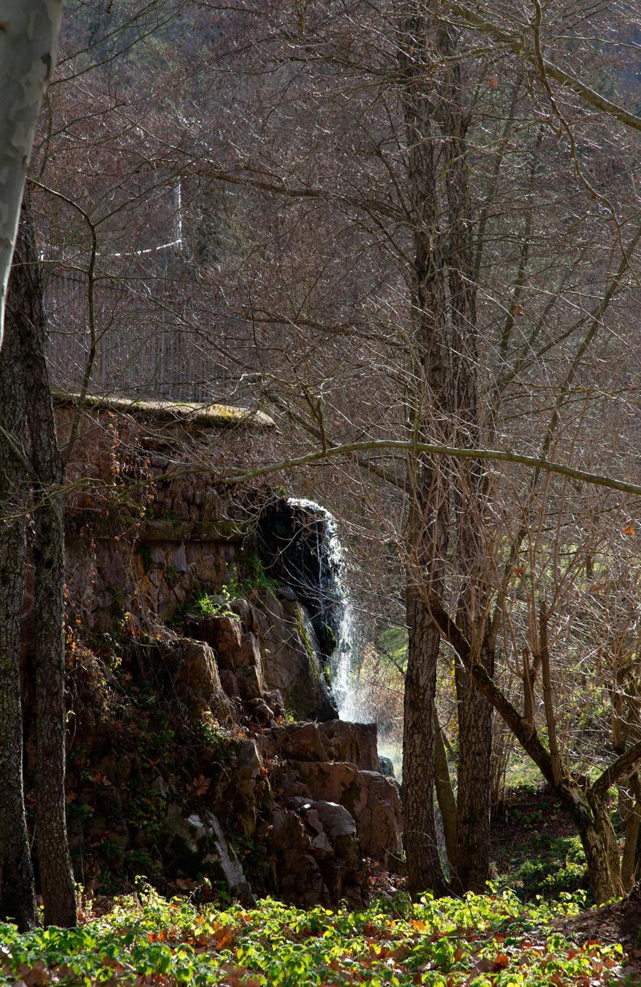 Casa Fabregas - Benestar Natural Viladrau Dış mekan fotoğraf